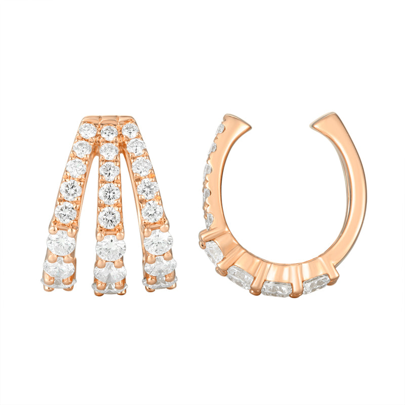 Claw Earrings